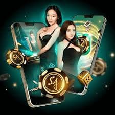 909635 bet
